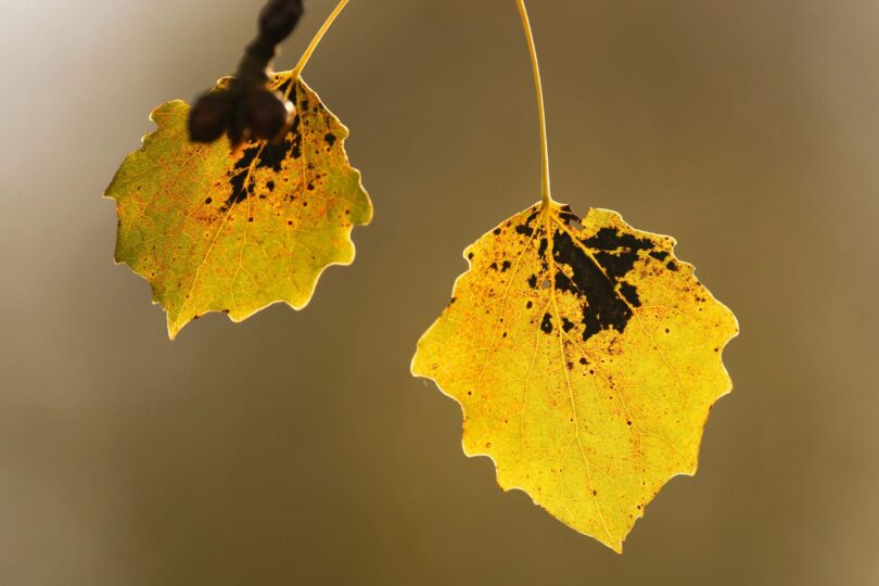 Ein sonniger Oktober für den öffentlichen Dienst (Symbolfoto/picture alliance / Rene Traut Fotografie | Rene Traut).